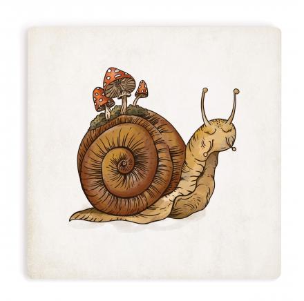 Coaster Snail