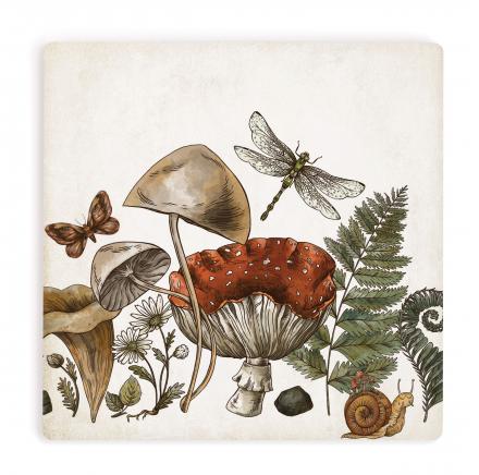 Coaster Red Mushroom Dragonfly Fern