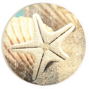 Car Coaster CST0061 - Starfish