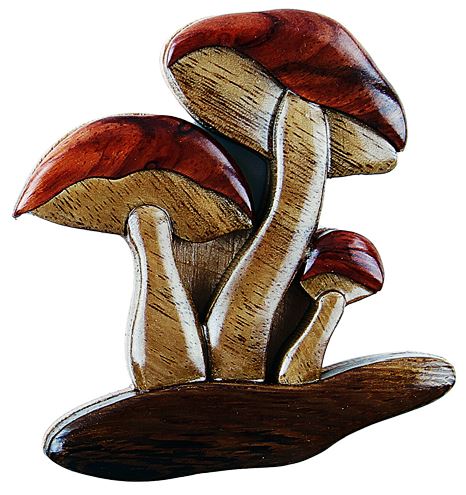 Wooden Mushroom Magnet