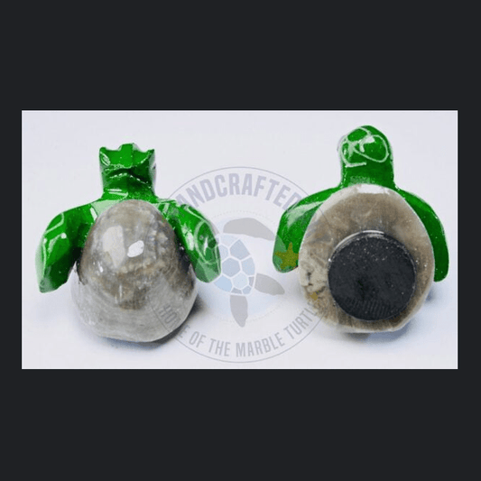 Magnet Marble Hatchling Green Turtle 1/2"