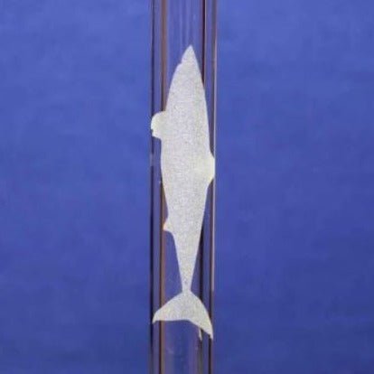 Shark Etched Glass Straw