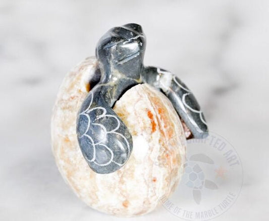 Figurine Marble Hatchling Turtle 1"