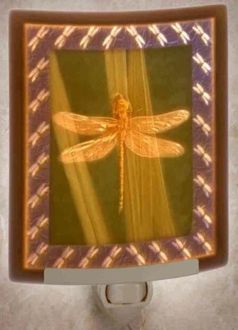 Night Light - Porcelain - Colorful Dragonfly #15
