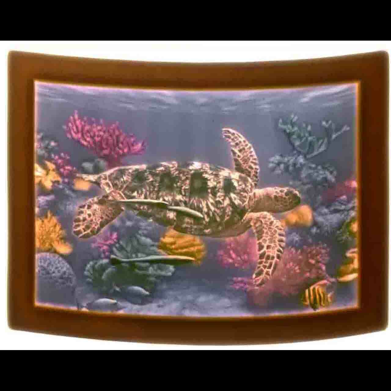 Night Light - Porcelain - Colorful Sea Turtle #4