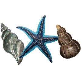 Wall Décor - Wall Seashells and Starfish Decor