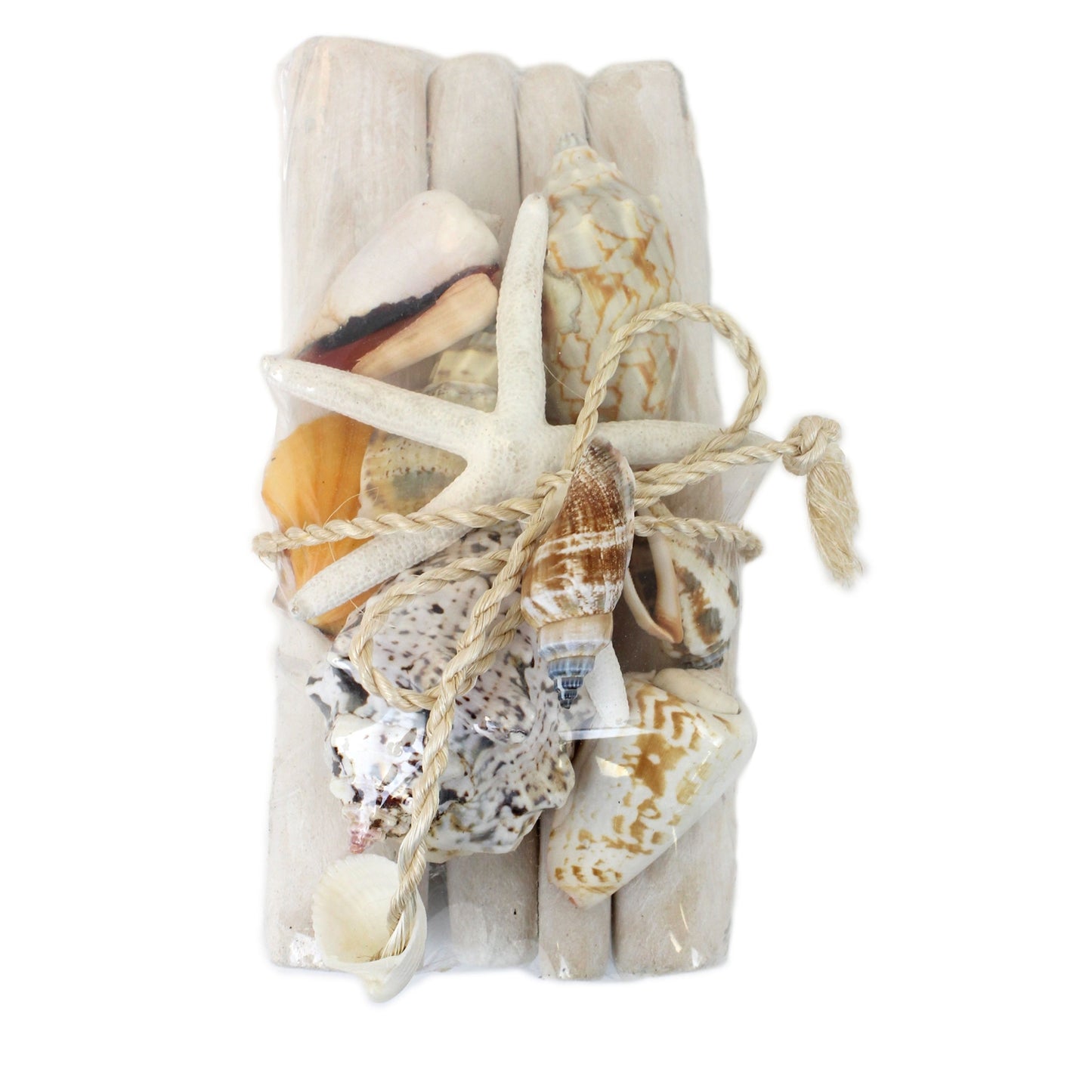 Shells & Starfish on Driftwood