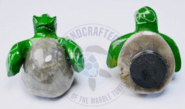 Magnet Marble Hatchling Green Turtle 1/2"