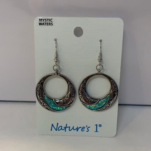 Earrings - WTE 139 - Fancy Circle FH