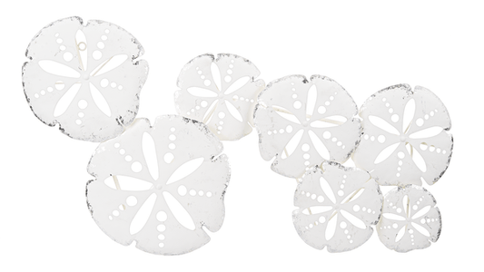 Wall Décor - White and silver Sand dollar