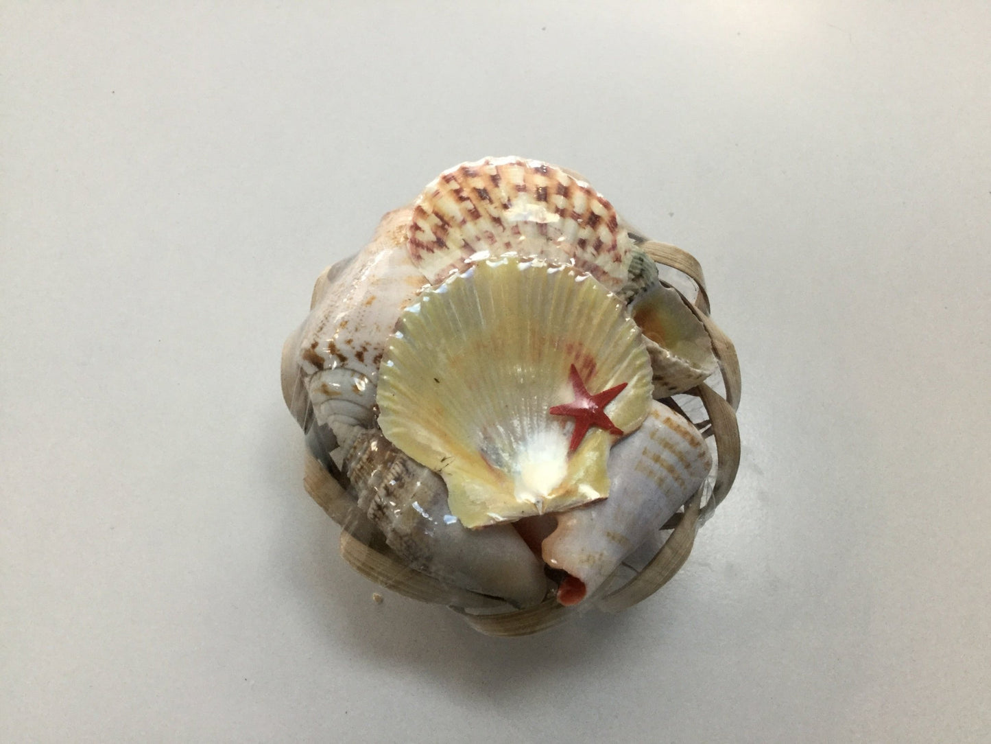 Shells - Small basket